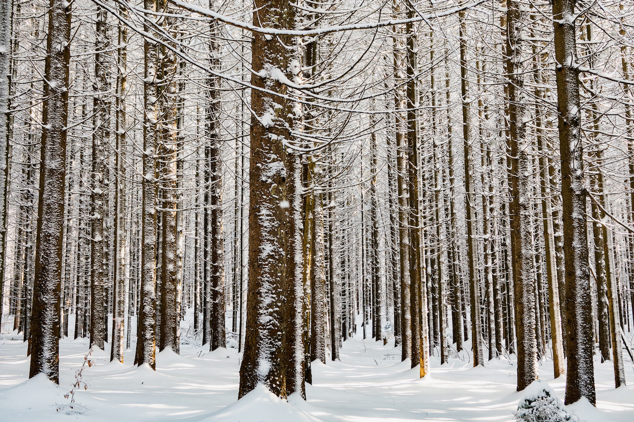 Town of Preble New York Photos